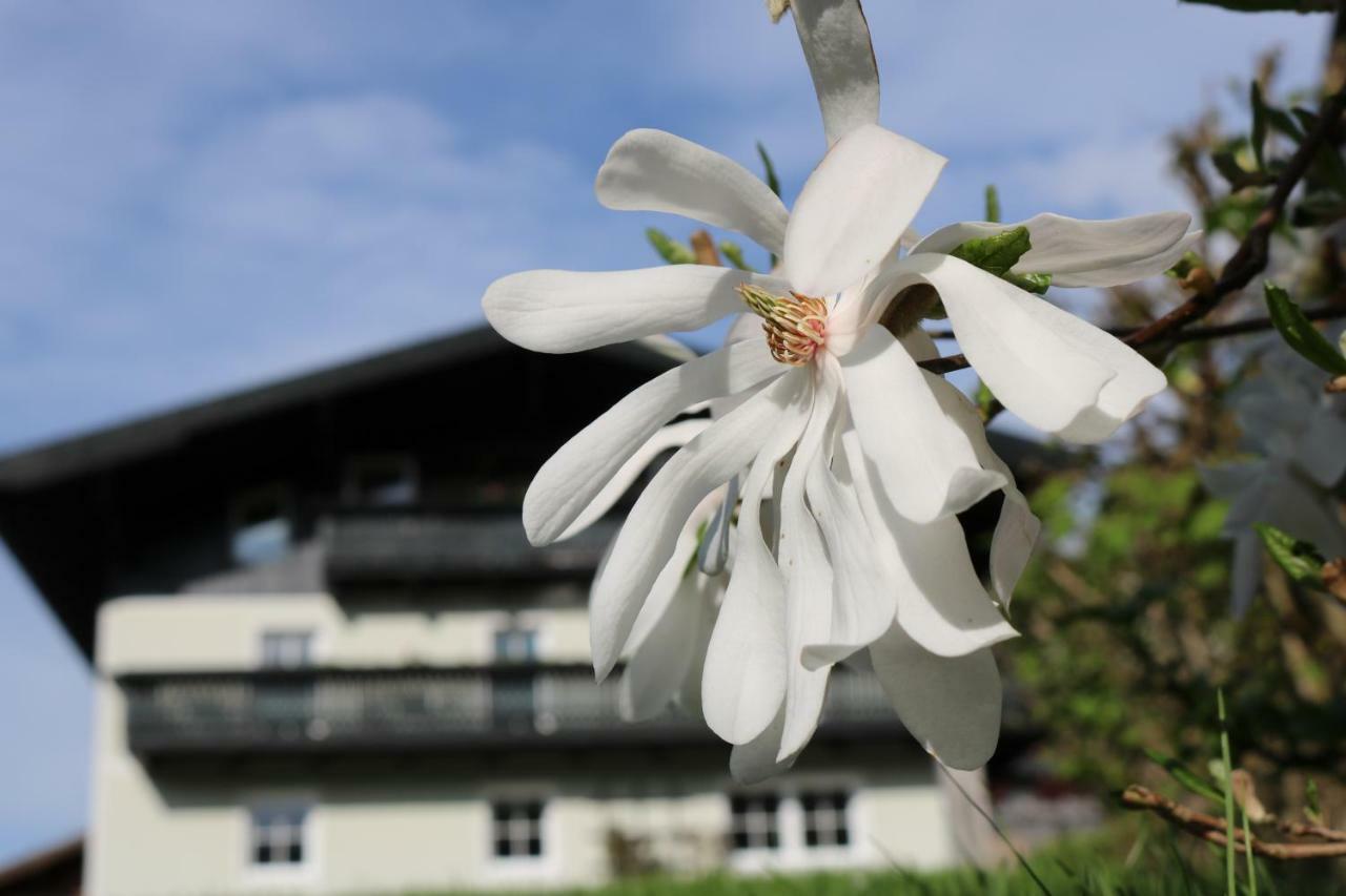 埃本因蓬高Haus Brandstatter公寓 外观 照片